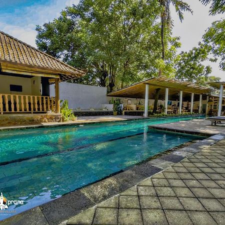 Ocean Prana Village آميدْ المظهر الخارجي الصورة